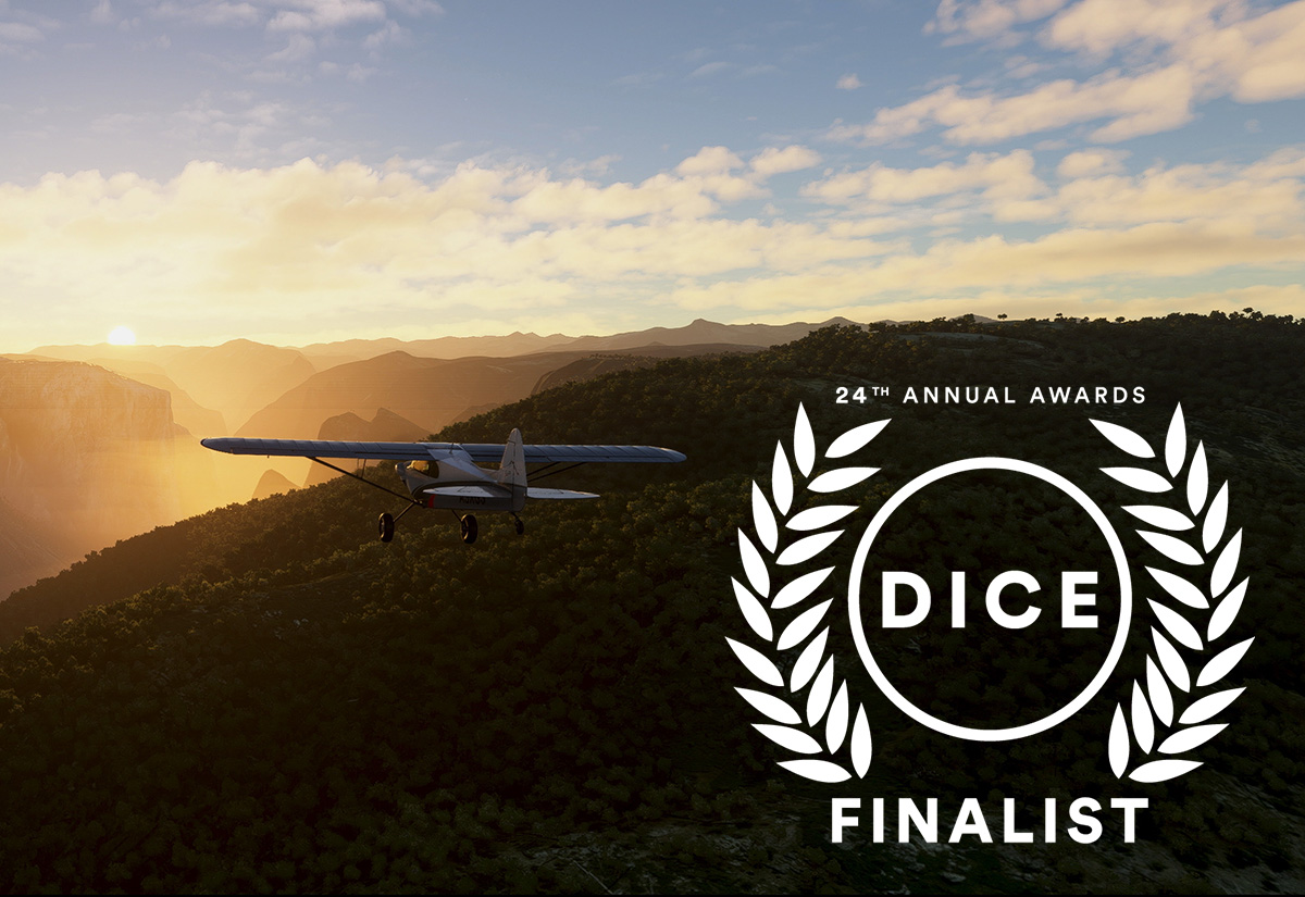 DICE finalist.jpg