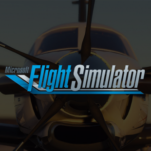 Microsoft Flight Simulator